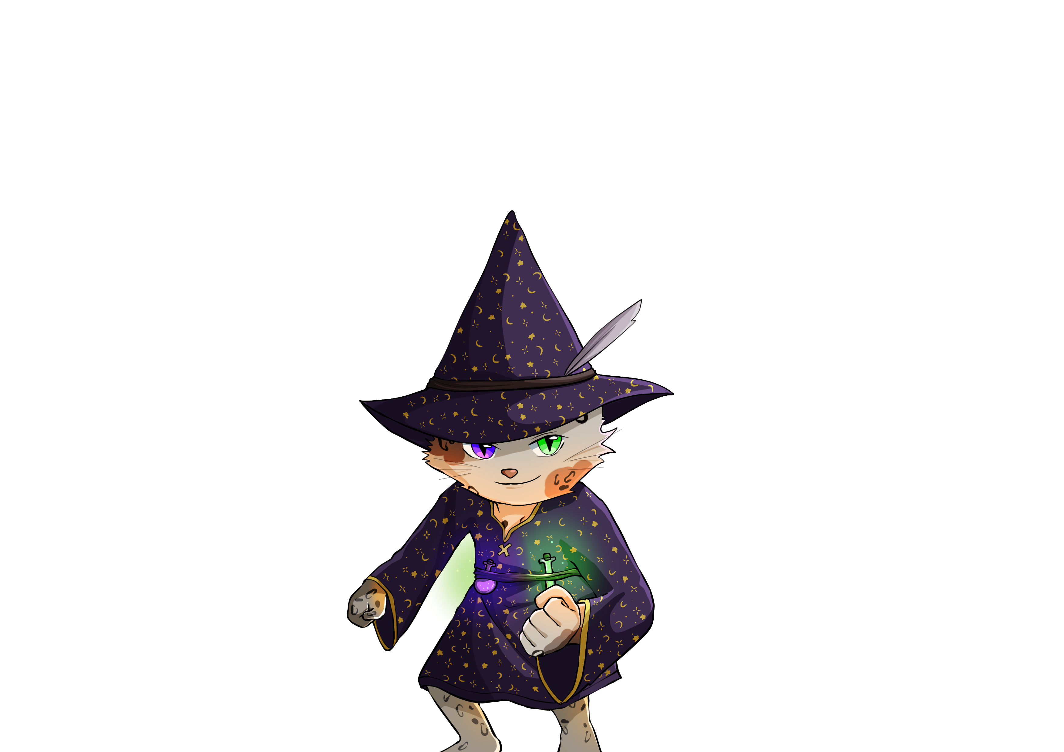 Mage Character
